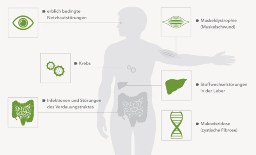 Anwendungsmöglichkeiten von Gene Editing in der Medizin. (DIB Biotech-Brief 2016)