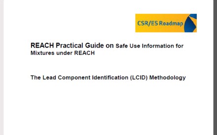 REACH-Praxisführer "Sichere Verwendung von Gemischen unter REACH